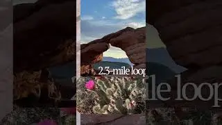 Looking for an exciting trial hike? Enjoy this 2.3-mile loop trail near St. George, Utah!