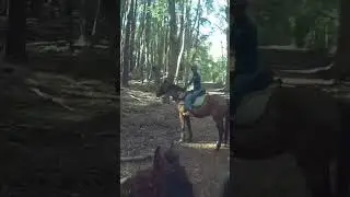 Hard to stop the racehorse 😁
