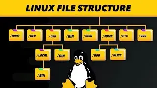 15  Linux File Structure