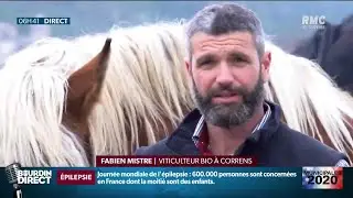 Dans le Var, le village de Correns est 100% bio depuis 1995