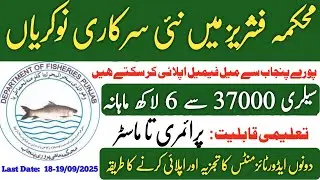 Punjab Fisheries Department Jobs 2025 | Shrimp Aquaculture Project