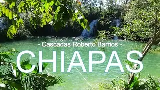 🌎Cascadas Roberto Barrios: 🔥visit THE BEST WATERFALL near Palenque, Chiapas 🇲🇽