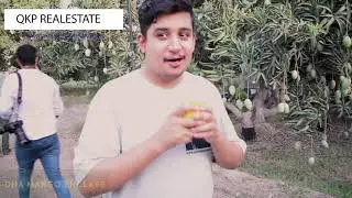 DHA MULTAN MANGO FESTIVAL\ DHA Mango enclave