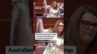 Australian lawmaker brings a salmon into parliament to protest farming laws