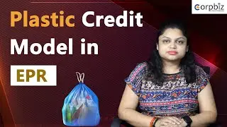 Plastic Credit Model in EPR | Risk linked to Plastic Credits | Corpbiz