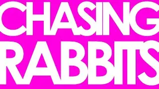 Chasing Rabbits