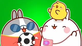 Molang e Piu Piu: inseguendo il loro idolo del calcio! | Cartone animato per bambini