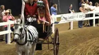 CAA Carriage Classic - Costume Class - circus wagon