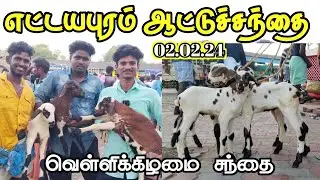 2.02.24/ எட்டயபுரம் வெள்ளிக்கிழமை ஆட்டு சந்தை/ தூத்துக்குடி மாவட்டம்
