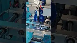 Fast 125g & 250g Salt Packing Machine | Precise Weighing & Sealing Solution