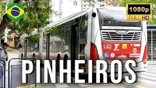Movimentações de Ônibus 🚍 |  Movimentação de Ônibus no Terminal Pinheiros #14!!