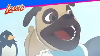 🐾 Lassie & Harvey&rsquo;s Glacier Rescue Adventure! | The New Adventures of Lassie | Cartoons for Kids
