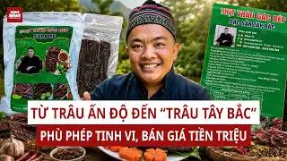 From Indian Buffalo to Northwest Smoked Beef: Hai Sapa and the Scheme of Turning Cheap Meat into ...