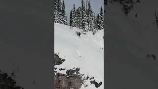 High consequence line
