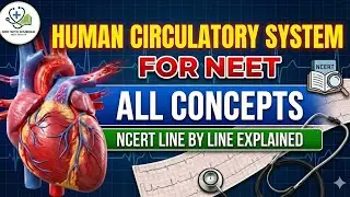 Human Circulatory System Class 11 Biology🫀 | Full Concept + NCERT Line by Line | NEET 2026