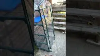 Bird and chipmunk together ❤️🥹 my animal friends ❤️ #shorts #nature #cutevideo #chipmunk #wildlife