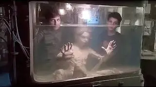 The Secret Two Brothers Found After Hiding Mermaid For 20 Years Will Terrify You