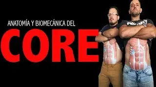 EJERCICIOS DE CORE -  CONCIDERACIONES PARA EL ENTRENAMIENTO