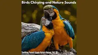 Uncommon Birds