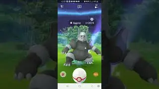 Aggron Solo