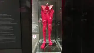 Inside the amazing Human Body #museum #netherlands #shorts #shortsvideo #travel #human #humanbody