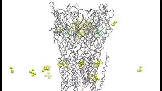 Simulating propofol binding to GLIC
