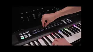 Native Instruments Komplete Kontrol S61 Keyboard
