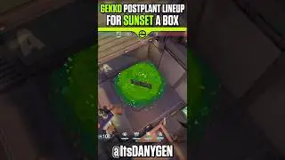 Gekko Post-Plant Molly Lineup for A Box on Sunset