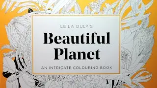 Flip through - Beautiful Planet - Leila Duly