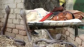 कैमरे में क़ैद हुआ ख़ौफ़नाक मंजर नाग नागिन इस स्थिति में कैसे  Rescue kiya gya .. Nag nagin Rescue