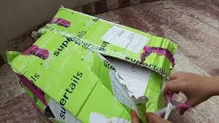 Where can I get cat food at a good price?Supertails shopping Review