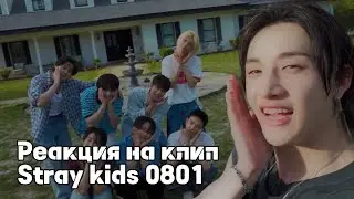 Реакция на клип Stray kids 0801