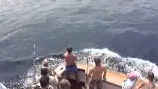 SeaFix