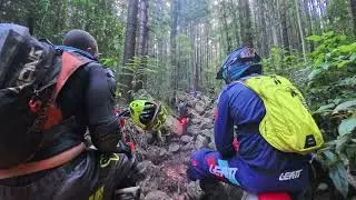 Kennelworth trail rides definitely knock down the ego 