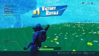 Fortnite Pacifist Squads Win