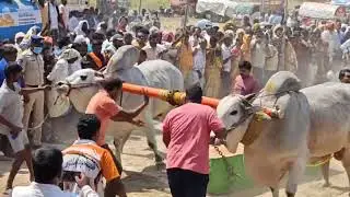 గొటికె హేత్విక్ రెడ్డి  అన్నంపల్లె సీనియర్ 2025