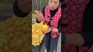 #fruit#beliyoutube#shortvideo#farming