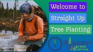 Welcome to Straight Up Tree Planting!