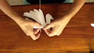 Manualidades - Cómo hacer una palomita - Manualidades para todos