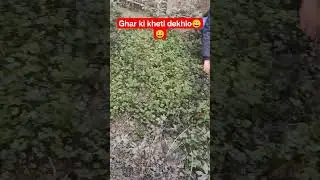 ghar ki kheti 😀😀#farming #farm #farmer #mithila #minivlog #vlog #dailyvlog