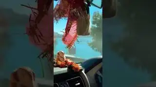 Nainital Journey in One Short | Nainital | UP16 Travel | Trending Song