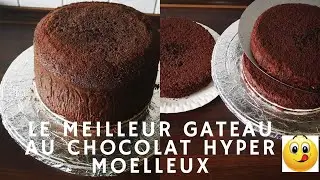 MOLLY CAKE AU CHOCOLAT FACILE ET RAPIDE - MES 3 SECRETS POUR UN MOLLY CAKE 100% REUSSI😉😉
