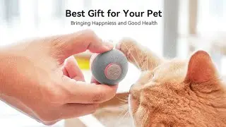 Automatic Rotating Cat Toy Ball