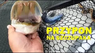 PRZYPON NA SZCZUPAKA CO SIĘ NIE SKRĘCA, NIE ŁAMIE, NIE ODKSZTAŁCA #zadziorvlog