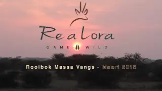 Re a Lora Rooibok massa vangs