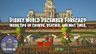 Disney World December Crowds & Wait Times &mdash; 2025 Reality Check