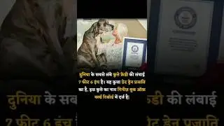 दुनिया का सबसे लंबा कुत्ता | Great Dane Freddy | Guinness World Record | facts | #shorts