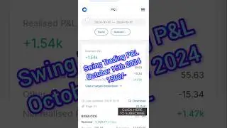 #53 Swing Trading Results - PnL Update October 2024