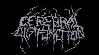 Cerebral Disfunction Reh Italy 08 07 1989 #grindcore