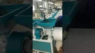 Corn peeling and grits making machine from 24 to 60 mesh